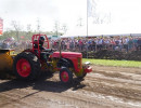 marle 2019