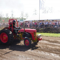 marle 2019
