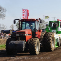 marle 2019