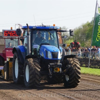 marle 2019