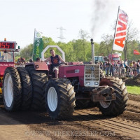 marle 2019